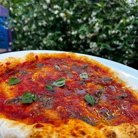 Donegal 호텔 체제나티코