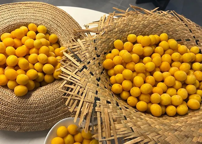 Donegal ホテル 3*