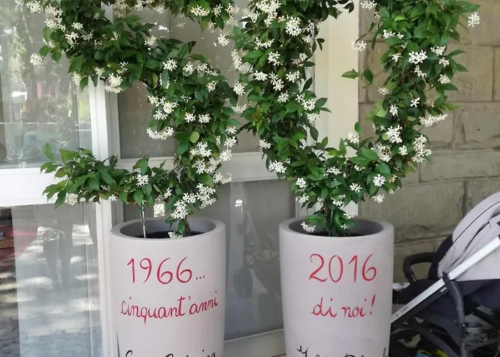 Donegal ホテル 3*