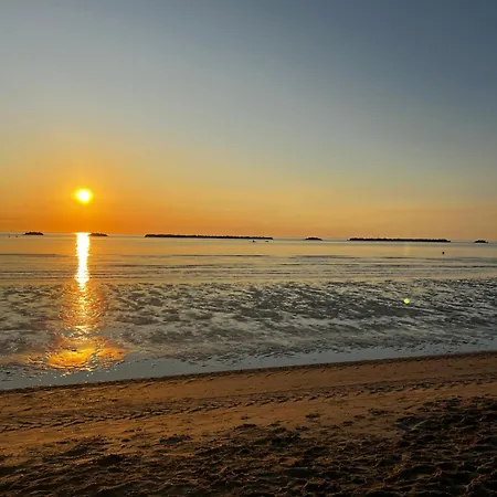 Donegal Cesenatico
